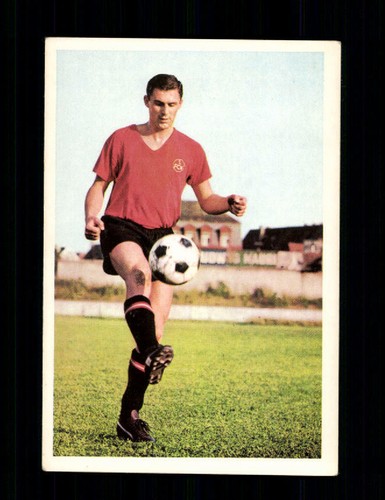 Ferdinand wenauer fc - ferdinand, 1