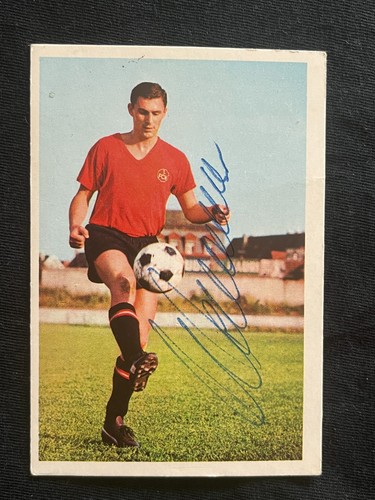 Ferdinand wenauer fc - wenauer,