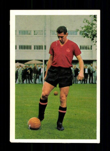 Ferdinand wenauer fc - wenauer, 1.fc