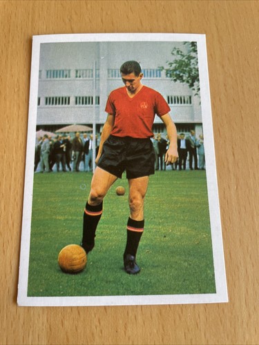 Bergmann 1965 92 wenauer - bergmann,