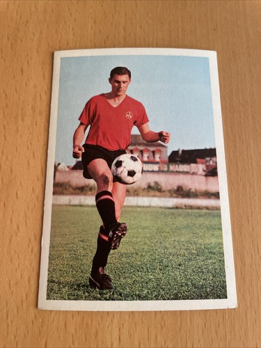 Bergmann 1967 203 wenauer - 1967/68,