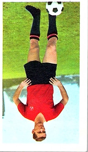 Ferdinand wenauer fc - wenauer,