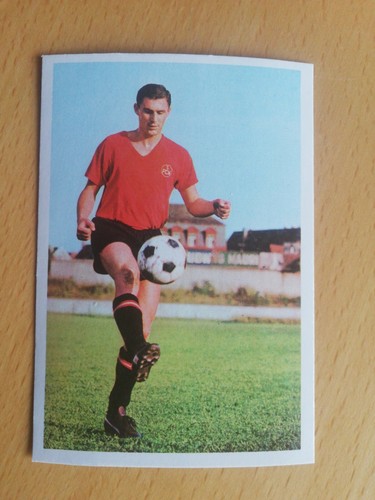Bergmann 1967 203 wenauer - bergmann,
